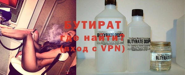 индика Новодвинск