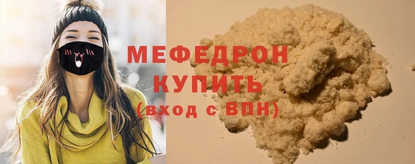 индика Новодвинск