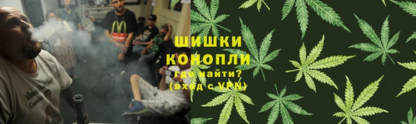 ешки Заводоуковск