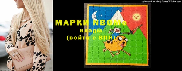 индика Новодвинск