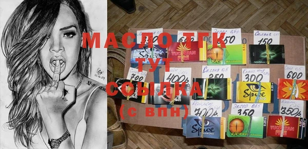 индика Новодвинск
