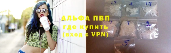 крисы Мегион