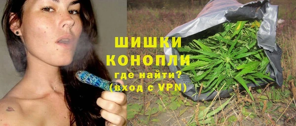 индика Новодвинск