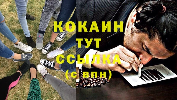spice Строитель