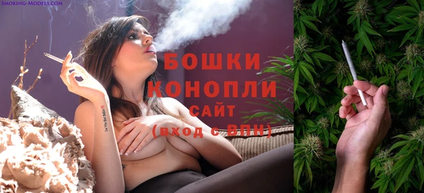 ешки Заводоуковск