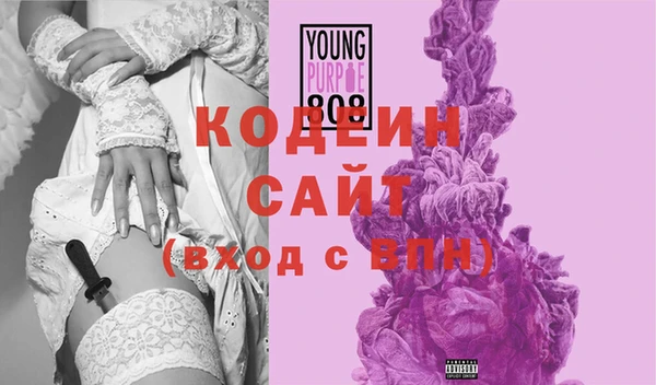 индика Новодвинск