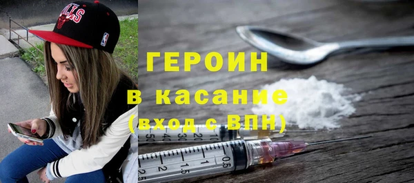 индика Новодвинск