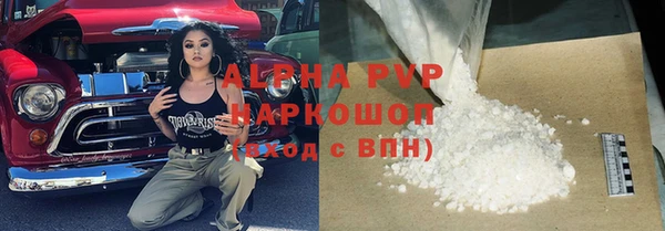 индика Новодвинск