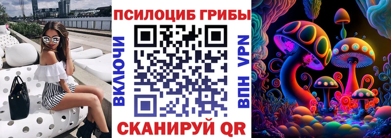 Псилоцибиновые грибы Psilocybine cubensis  где найти наркотики  Свирск 